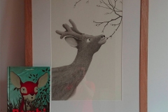 BAMBI-exposition-illustrations-originales-pour-mediatheque-en-location-02