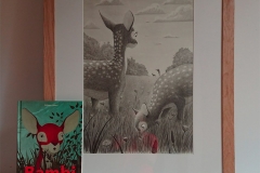 BAMBI-exposition-illustrations-originales-pour-mediatheque-en-location-04
