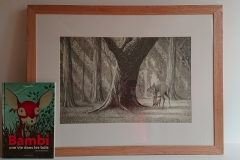 BAMBI-exposition-illustrations-originales-pour-mediatheque-en-location-09