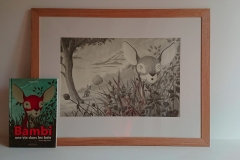 BAMBI-exposition-illustrations-originales-pour-mediatheque-en-location-11
