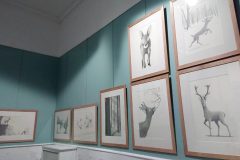 1_EXPOSITION-ILLUSTRATIONS-BAMBI-au-MUSEUM-HISTOIRE-NATURELLE-VAULUISANT-SALON-DU-LIVRE-JEUNESSE-TROYES-PHILIPPE-JALBERT-05-scaled