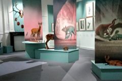 1_EXPOSITION-ILLUSTRATIONS-BAMBI-au-MUSEUM-HISTOIRE-NATURELLE-VAULUISANT-SALON-DU-LIVRE-JEUNESSE-TROYES-PHILIPPE-JALBERT-07-scaled
