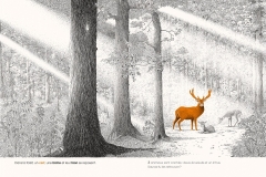 DANS-LA-FORET-cherche-et-trouve-les-animaux-philippe-jalbert-01-le-chevreuil