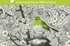 Dans-le-jardin-couverture-cherche-et-trouve-les-animaux-et-les-insectes-du-jardin-philippe-jalbert