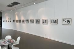 exposition-DANS-LES-YEUX-le-petit-chaeron-rouge-mediatheque-de-GUERET-philippe-jalbert-09