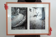 DANS-LES-YEUX-petit-chaperon-rouge-exposition-philippe-jalbert-01