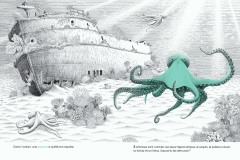 Dans-lOcean-cherche-et-trouve_la-pieuvre_philippe-jalbert
