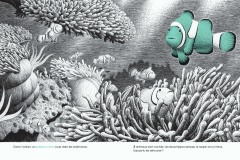 Dans-lOcean-cherche-et-trouve_le-poisson-clown_philippe-jalbert