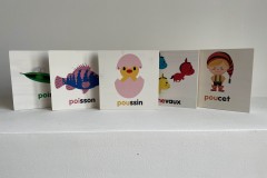 exposition-il-etait-une-fois-un-roi-et-une-rei-philippe-jalbert-location-mediatheque-10