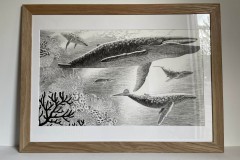 La-baleine-location-exposition-dans-locean-cherche-et-trouve-pour-mediatheque-exposition-d-apres-le-livre-de-philippe-jalbert-copie