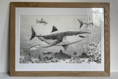 le-requin-location-exposition-dans-locean-cherche-et-trouve-pour-mediatheque-exposition-d-apres-le-livre-de-philippe-jalbert