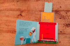 l-abeille-documentaire-pour-tout-petits-et-bebes-philippe-jalbert-02-scaled