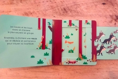 le-loup-documentaire-pour-tout-petits-et-bebes-philippe-jalbert-02-scaled