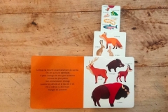 le-loup-documentaire-pour-tout-petits-et-bebes-philippe-jalbert-03-scaled