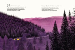 Une belle histoire livre de Philippa jalbert première page, la forêt de nuit